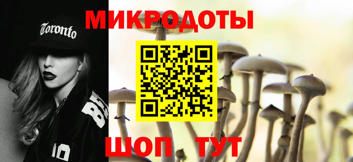 Псилоцибиновые грибы Psilocybine cubensis Дальнегорск